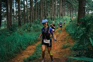 BIB: 
                            <button type="button" onclick="openModal(25670137)" class="btn btn-primary btn-sm float-right btn-popup" data-toggle="modal" data-target=".modal-high-quality">
                        <i class="fas fa-shopping-cart"></i> Add to Cart
                    </button>
                                            <button type="button" onclick="isThisMe(25670137, true)" class="btn btn-success btn-sm float-right btn-popup btn-isme hidden" data-toggle="tooltip" data-placement="bottom" title="นี่คือรูปของคุณใช่ไหม คลิกที่นี่เพื่อเอาเข้าอัลบั้ม">
                        <i class="fas fa-plus"></i> Add to album
                    </button>
                    <button type="button" onclick="isThisMe(25670137, false)" class="btn btn-warning btn-sm float-right btn-popup btn-isnotme hidden">
                        <i class="fas fa-ban"></i> Remove from album
                    </button>